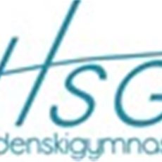 HSG Snowboard/Freeski søker ny trener for snowboard