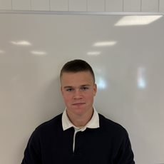 Rauls Karlis Bergsons